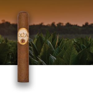 Oliva Serie G