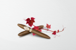 dav_gcru_didemsfin_ltd24_mood_005